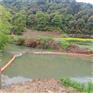 柏泰河道拦污浮筒供应厂家