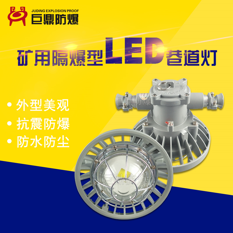 矿用隔爆型LED巷道灯DGS36-127L(A)