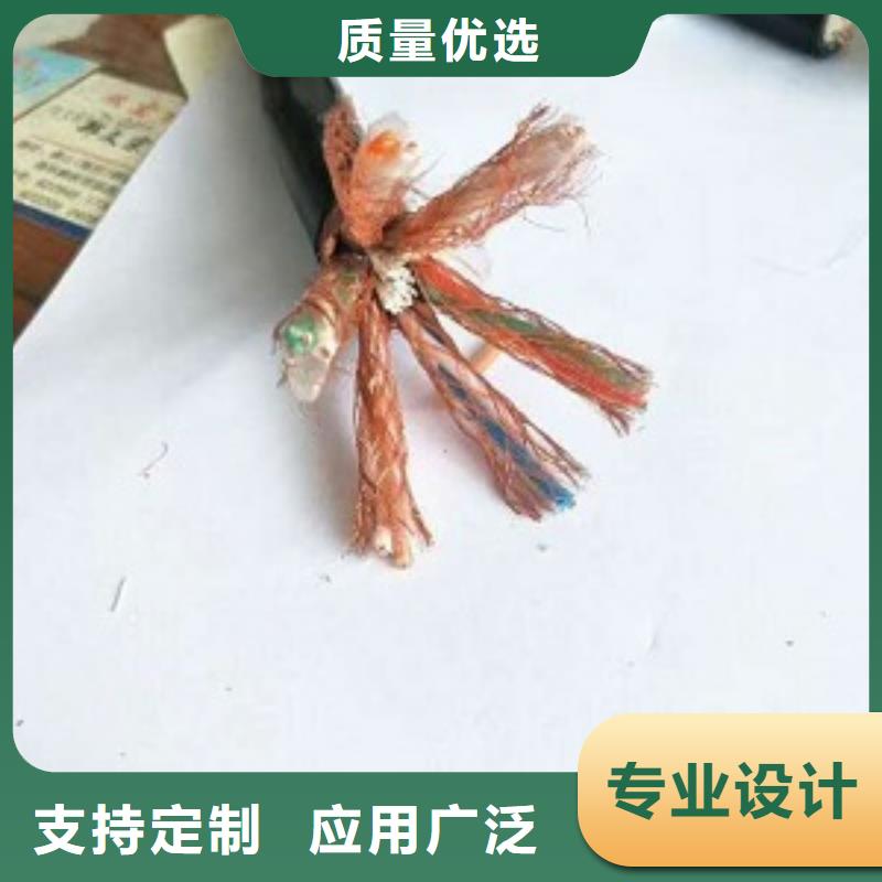 CPEV-S-天联电缆50*2*1.0
