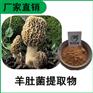 森冉生物 羊肚菌提取物 羊肚菌多糖 羊肚磨提取物