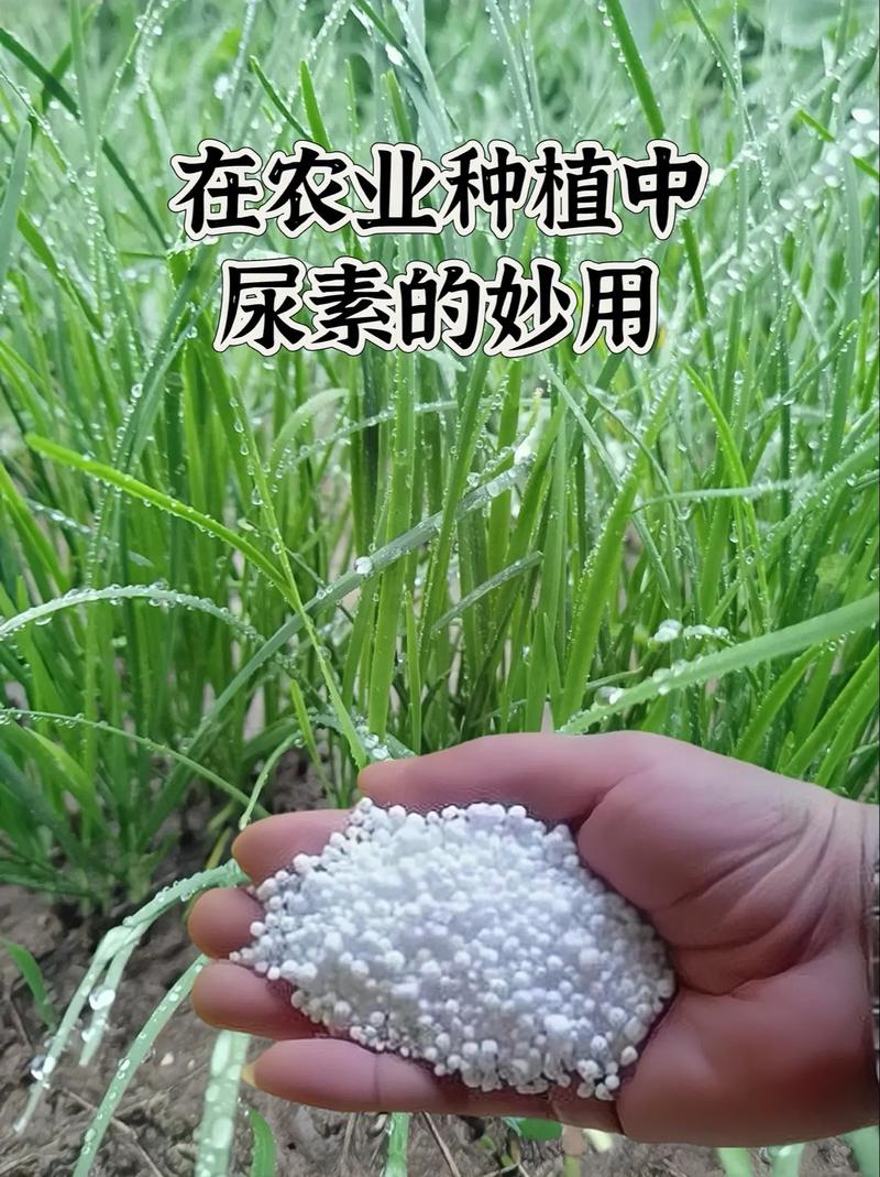 尿素 脱硫脱硝 水处理 固体颗粒 化肥复合肥 大颗粒晶体  污水处理  尿素的用途  尿素的价格