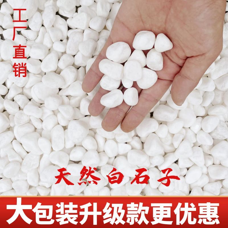 鹅卵石 白石子 白色碎石 铺路 庭院造景 园林景观  鹅卵石的用途  鹅卵石的特点