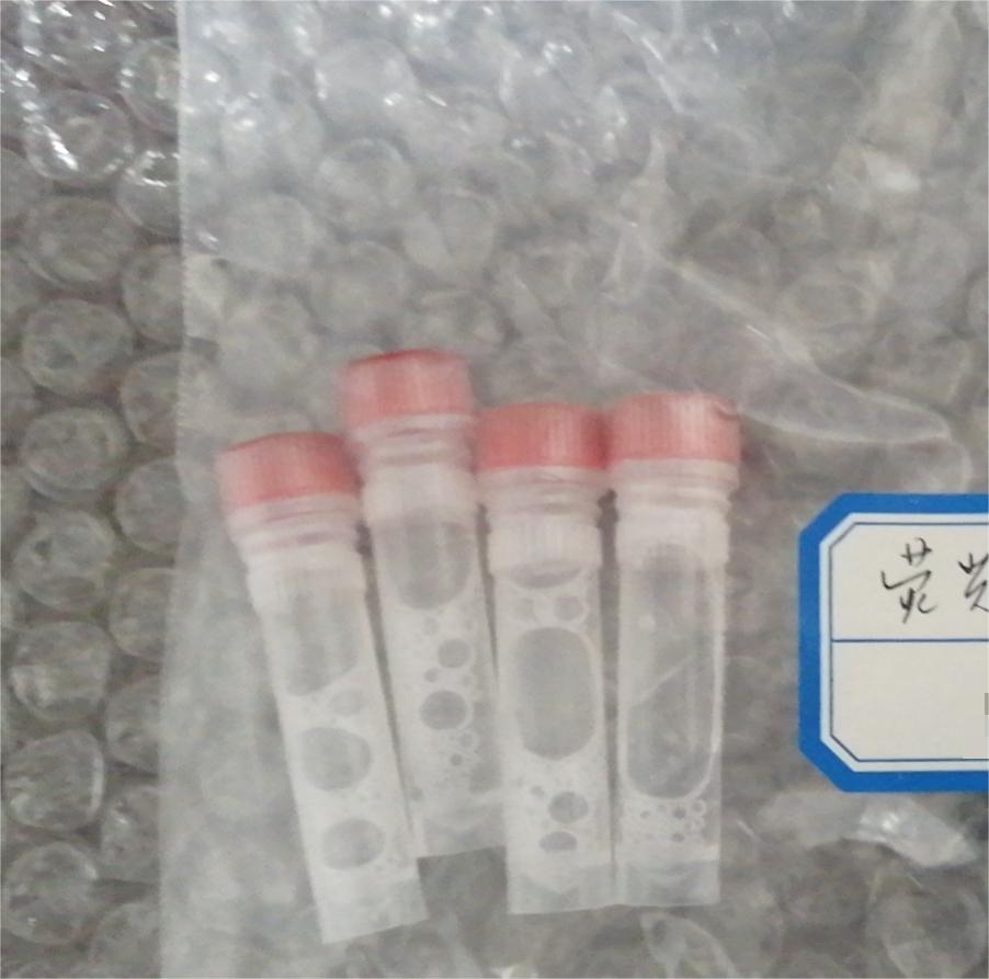 荧光素酶  50%酶活高，价格优势  生物助剂