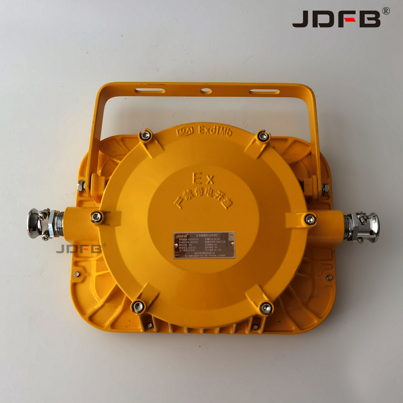 DGS100，127L(A)矿用隔爆型LED巷道灯