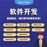 软件开发app开发定制物联网可视化大屏小程序管理系统