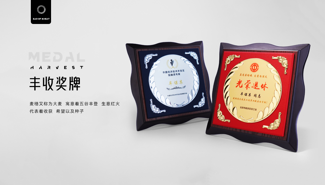 退休奖牌 荣休纪念奖牌 木质奖牌