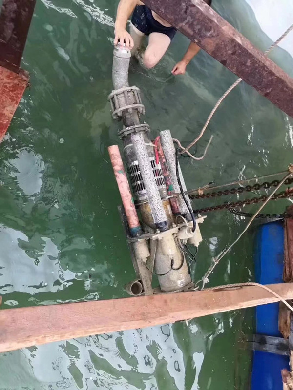武汉智匠泵业潜水喷泉泵  大流量潜水泵  高扬程潜水泵