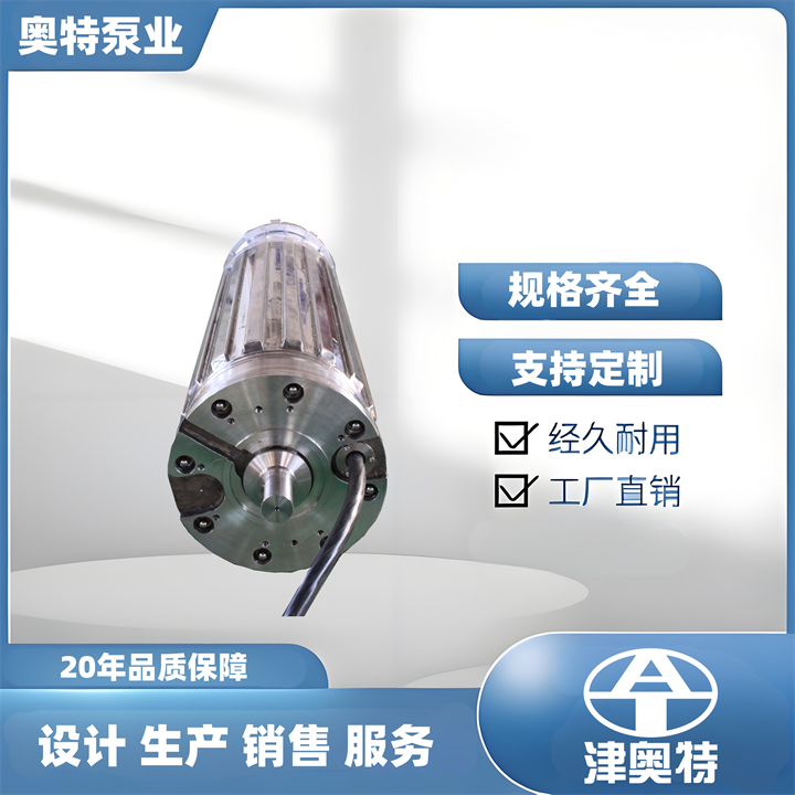 抽海水潜泵 双相钢材质 不锈钢潜水泵 津奥特厂家