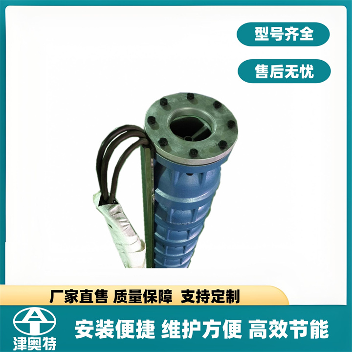 深水抽排泵 210米扬程水泵 2850转 深井潜水泵