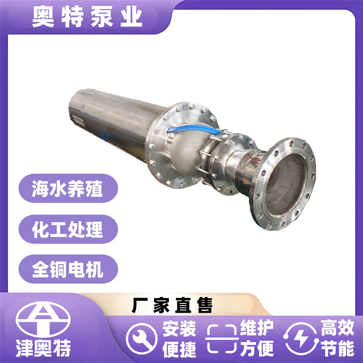 高功率潜水水泵 白钢材质  不锈钢潜水泵  津奥特厂家