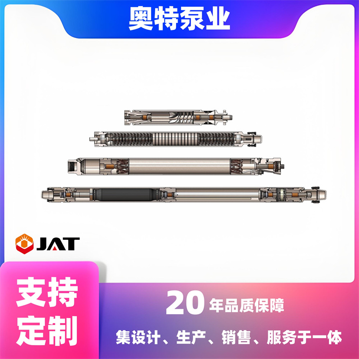 耐腐蚀油井电驱泵 铸铁材质 立式 潜油电泵 津奥特厂家