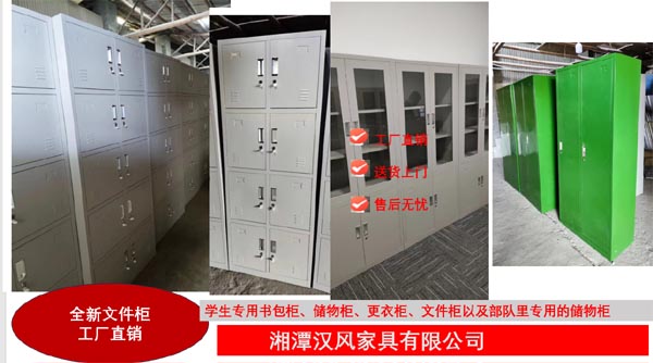 湘潭铁皮文件柜 湖南铁皮文件柜 湘潭汉风家具工厂  更衣柜  储物柜