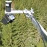 QT-2041 PRI光化学植被指数监测系统