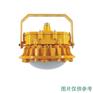 BFC8125 LED防爆泛光灯 BFC8125 LED防爆泛光灯