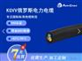 EAC标准控制 KGVV 耐低温电气设备用电缆