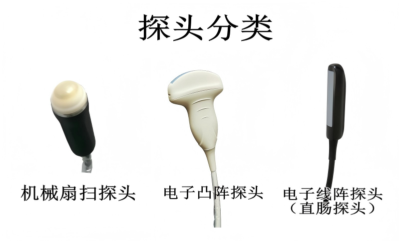 锂离子可充电兽用B超&nbsp;&nbsp;锂离子B超&nbsp;&nbsp;可充电B超