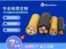NSSHOEU 卷筒电缆 CE+UL 认正