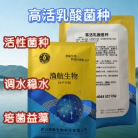 水产乳酸菌浓缩粉 精养塘菌相失衡调水原料 水产调水剂