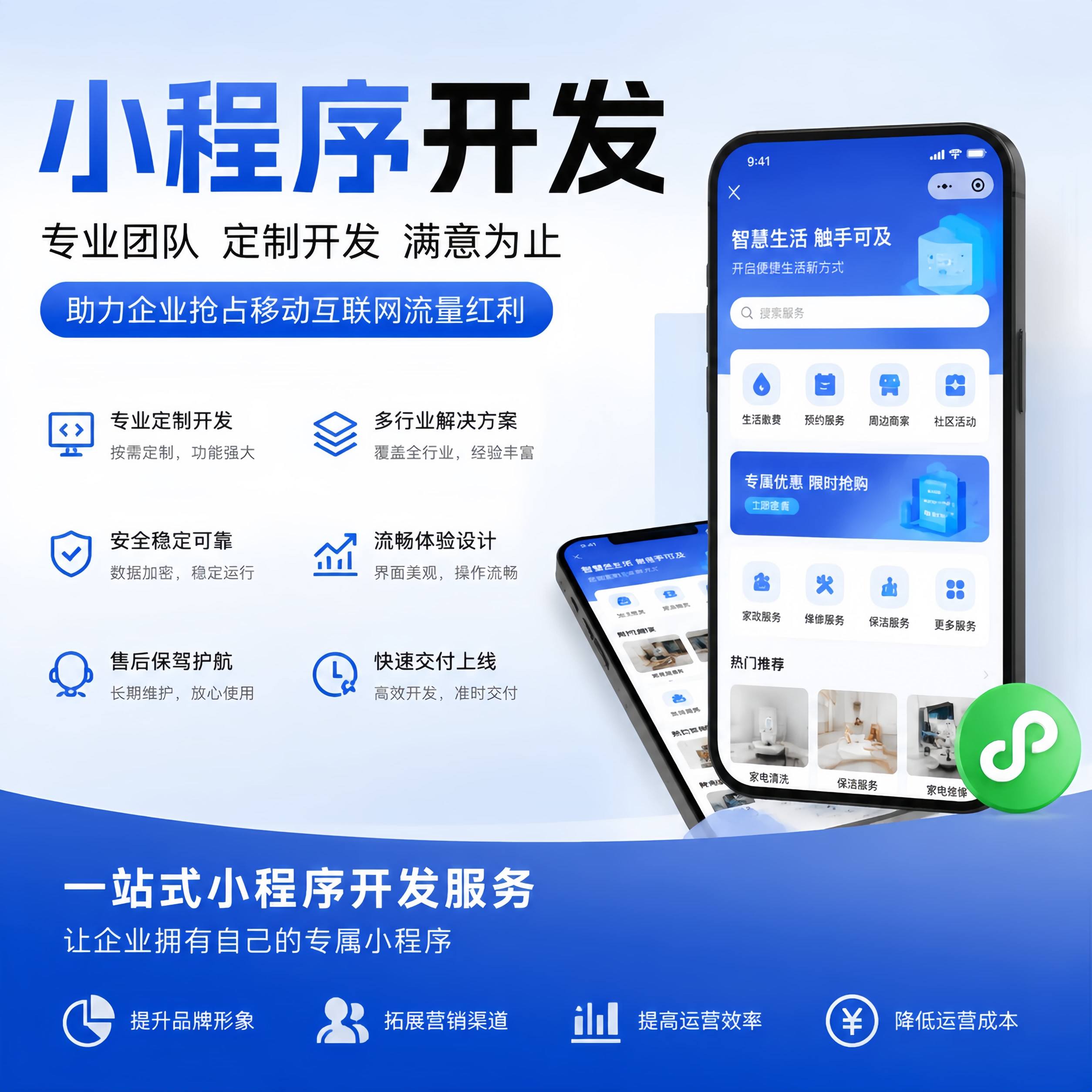 企业级管理软件定制开发与信息化解决方案 小程序开发 定制软件 SEO优化