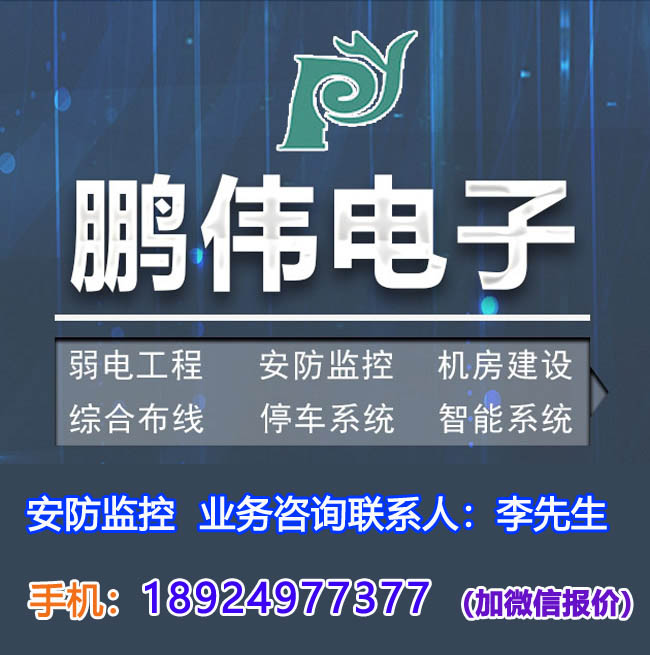 中山市鹏伟电子有限公司