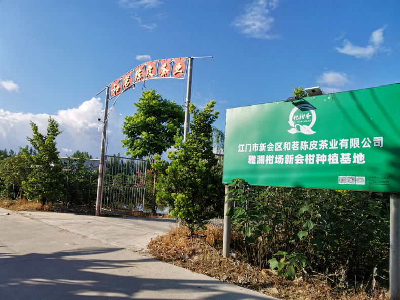 江门市新会区和茗陈皮茶业有限公司