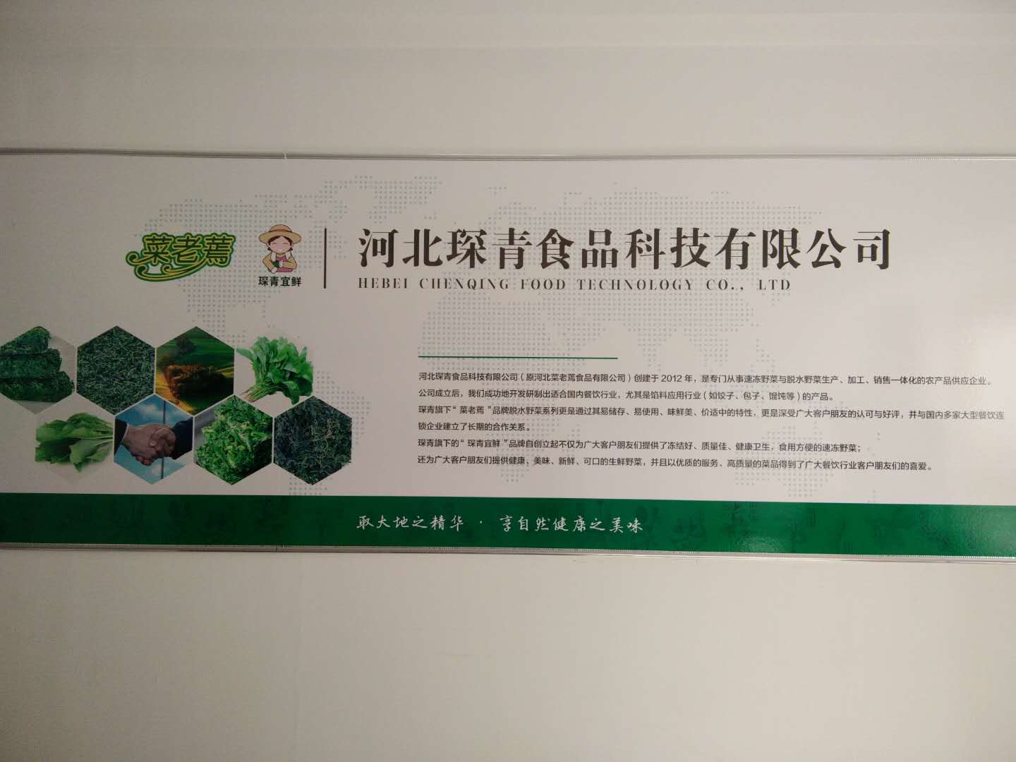 河北琛青食品科技有限公司