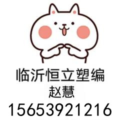临沂恒立塑编