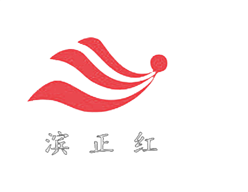 南京滨正红仪器有限公司