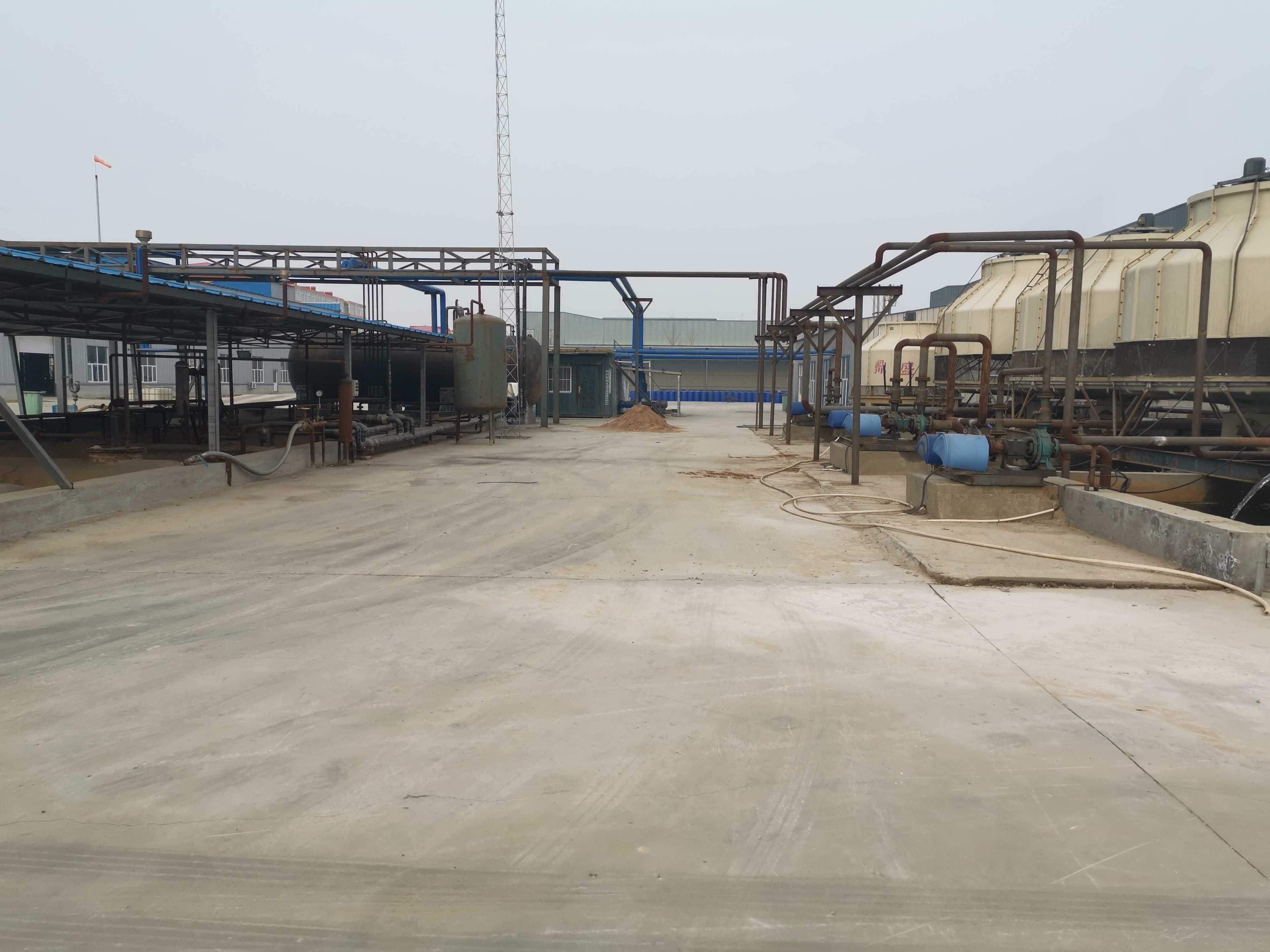 上海雀丹生物科技有限公司