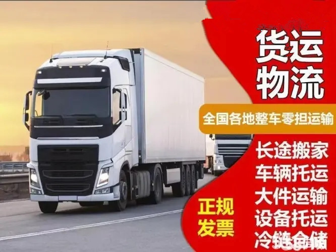 东莞市龙运通物流有限公司