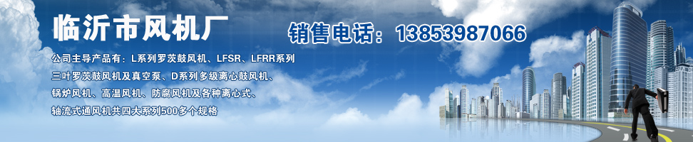 山东省临风鼓风机有限公司