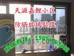 玻璃贴膜贴膜 居室贴膜