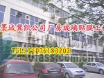 办公室贴膜|写字楼贴膜|磨砂贴