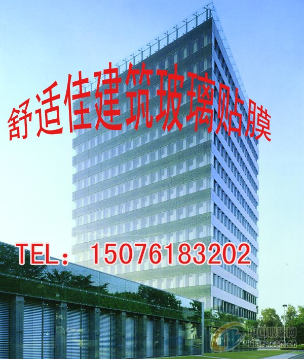 贴膜价格 贴膜电话